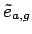 $\tilde{e}_{a,g}$